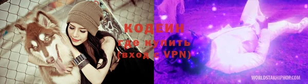 индика Арсеньев