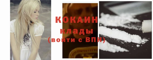 индика Арсеньев
