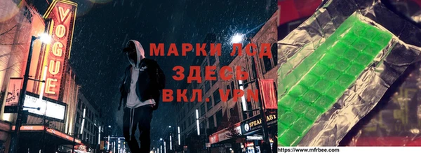 индика Арсеньев