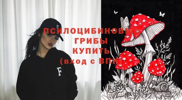 2c-b Аркадак