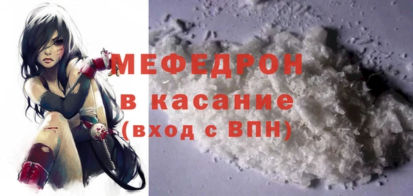 индика Арсеньев