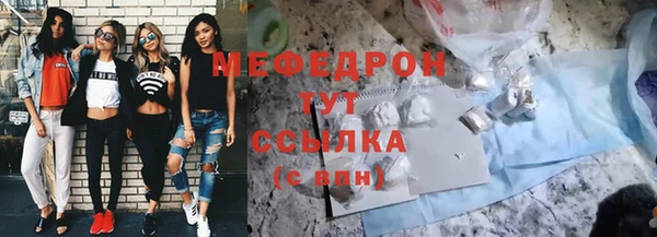 индика Арсеньев