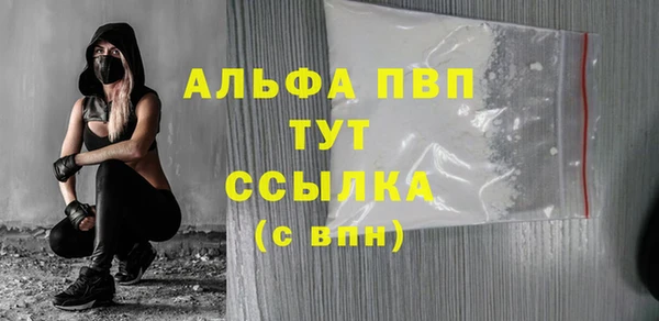 индика Арсеньев