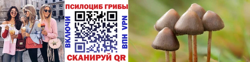 KRAKEN рабочий сайт  купить   Гвардейск  Псилоцибиновые грибы прущие грибы 